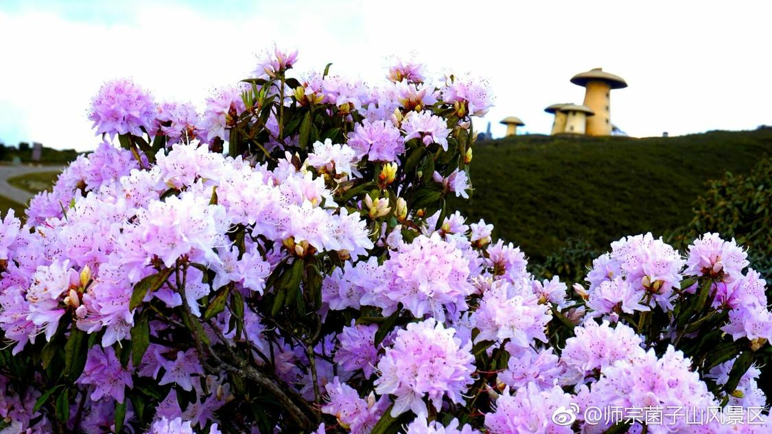 全红婵打乒乓球绝杀王宗源