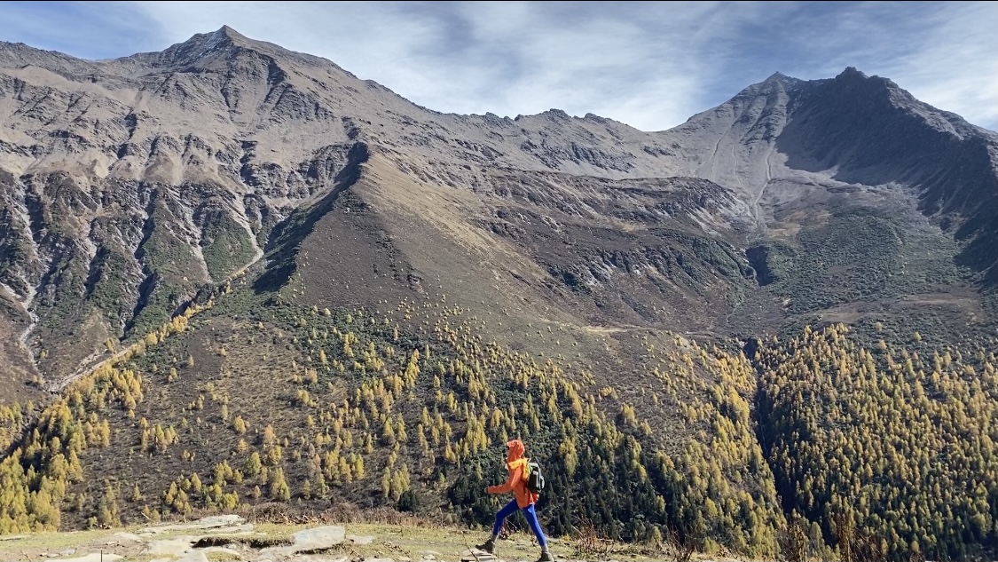 b站点赞粉丝业务